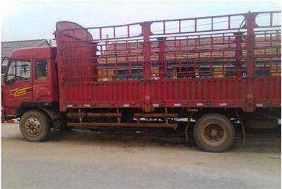 惠陽至金門17米平板車出租，專業(yè)貨物運輸解決方案