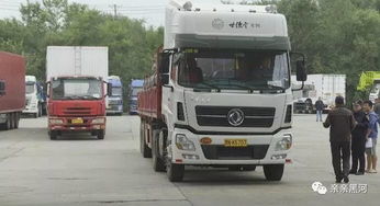 黑河貨運口岸輪渡恢復(fù)通航，助力跨境貨物運輸暢通